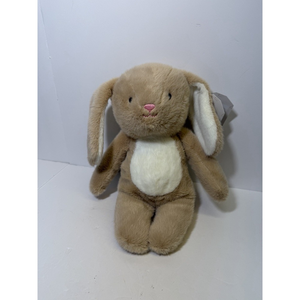 Minky By Fiesta Plush Beatrice Bunny Stuffed Rabbit Lovey Earth Pals Soft NWT